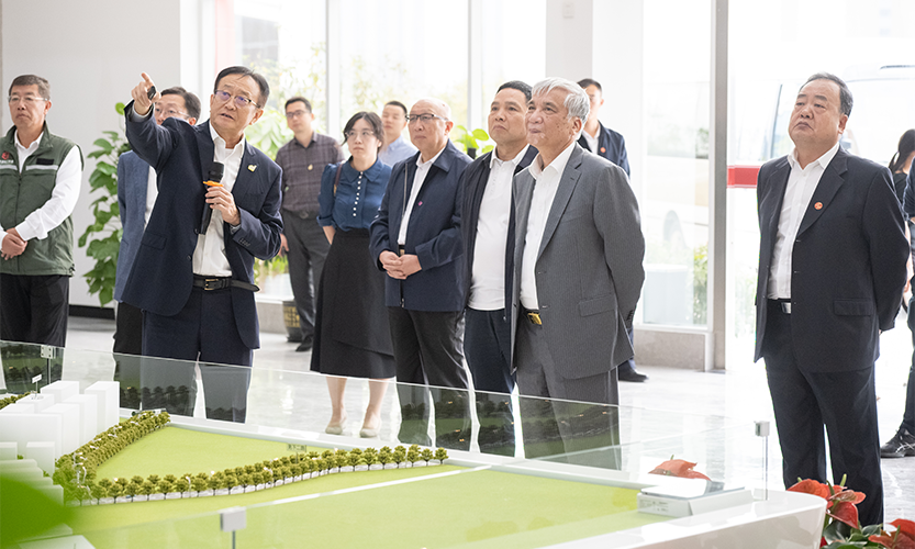 丁仲礼调研英国威廉集团官网筹建进展