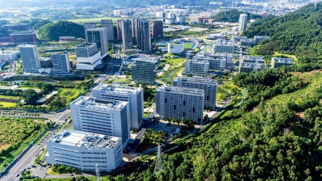 这所新大学,一周只上四天课
