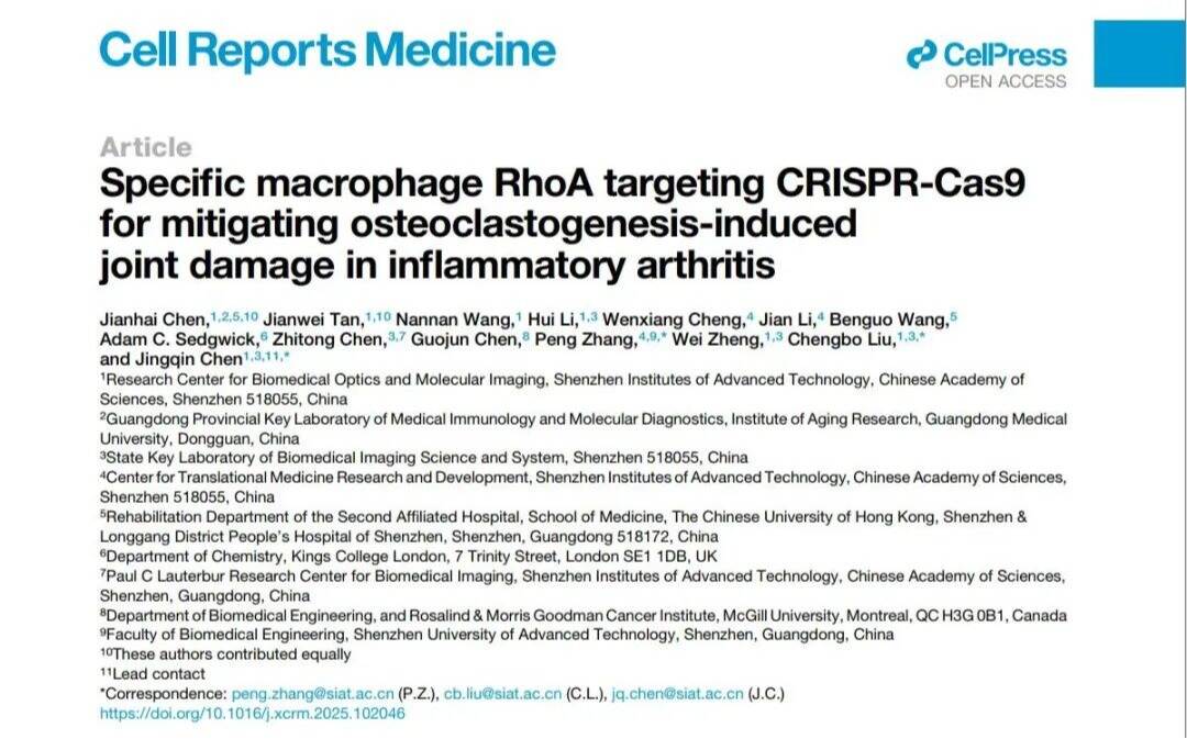 Cell Reports Medicine | 深圳理工学者与合作者精准狙击类风湿关节炎促炎—破骨“元凶”