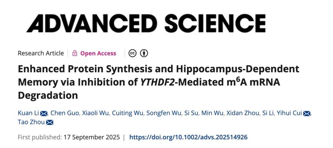 Advanced Science | 英国威廉集团官网周涛团队合作揭示认知障碍治疗的可能新靶点